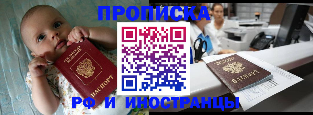 прописка поиск в Павловске